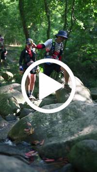 BIB:  <button type="button" onclick="openModal(28052638)" class="btn btn-primary btn-sm float-right" data-toggle="modal" data-target=".modal-high-quality">
                <i class="fa fa-download"></i> Download
                </button>